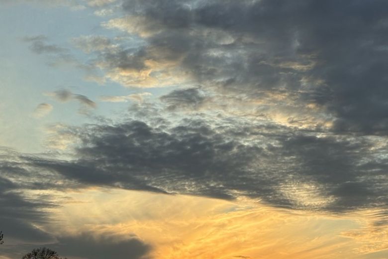 IV Niedziela Zwykła - 1.02.2026﻿