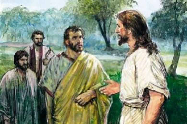 XX Niedziela Zwykła - 17.08.2025